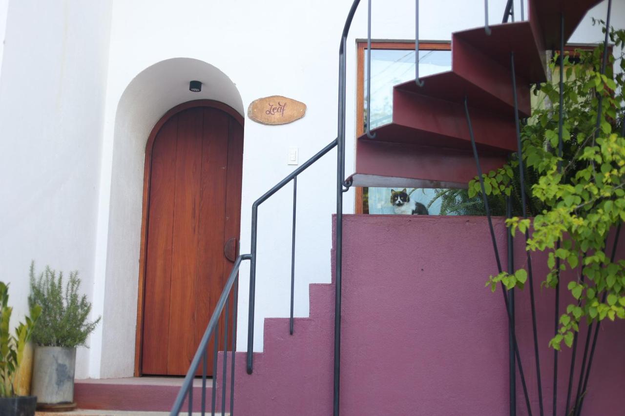 Cherry Suites Dalat מראה חיצוני תמונה